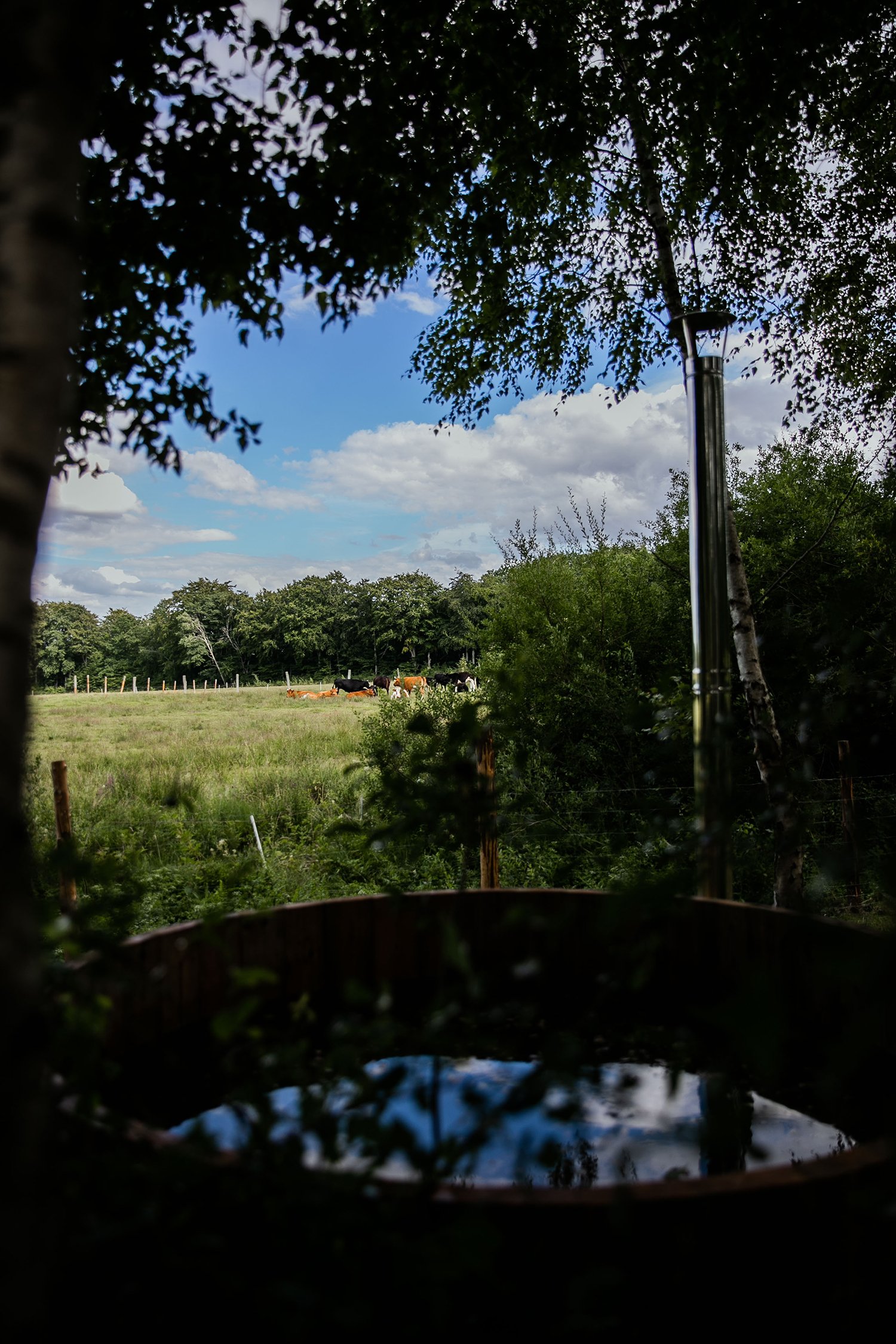 Ciekocino Park